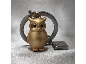 603624 I klicenka-sova-s-knihou