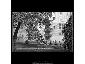 V jižních zahradách (982-1), Praha 1960 podzim, černobílý obraz, stará fotografie, prodej