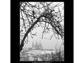 Pohled na Hrad (964-2), Praha 1960 listopad, černobílý obraz, stará fotografie, prodej