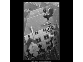 Kohout na špičce (963-2), Praha 1960 listopad, černobílý obraz, stará fotografie, prodej