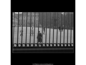 Pohled přes mřížoví (930-2), Praha 1960 říjen, černobílý obraz, stará fotografie, prodej