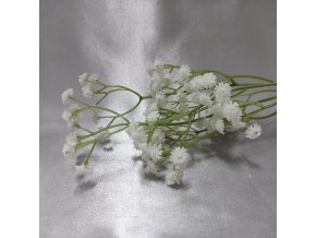 203662 I vetev-gypsophila-bila