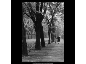 Dvě dívky (983-3), žánry - Praha 1960 podzim, černobílý obraz, stará fotografie, prodej