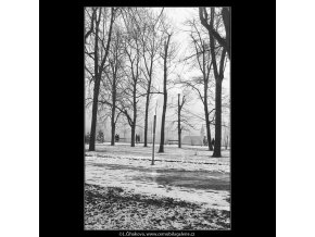 V Letenských sadech (1058-3), žánry - Praha 1961 únor, černobílý obraz, stará fotografie, prodej
