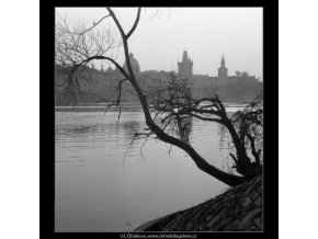 Věže a most skrz strom (1088-8), Praha 1961 březen, černobílý obraz, stará fotografie, prodej