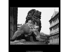 Sedící lev (1384), Praha 1961 , černobílý obraz, stará fotografie, prodej
