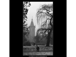 Park a věž radnice (1418-2), žánry - Praha 1962 leden, černobílý obraz, stará fotografie, prodej