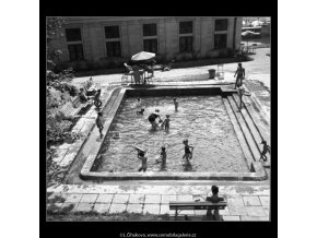 Na plovárně (1447), žánry - Praha 1961 , černobílý obraz, stará fotografie, prodej