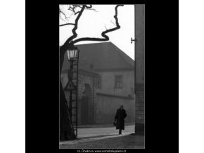 Na rohu (1464-2), žánry - Praha 1962 , černobílý obraz, stará fotografie, prodej