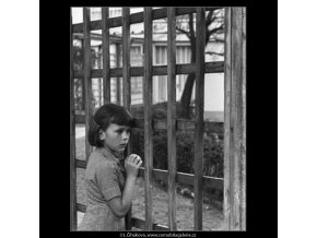 Děvčátko u mříže (1604), žánry - Praha 1962 květen, černobílý obraz, stará fotografie, prodej