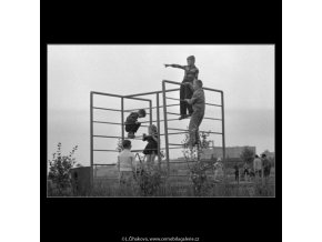 Děti v parčíku (1835), žánry - Praha 1962 , černobílý obraz, stará fotografie, prodej