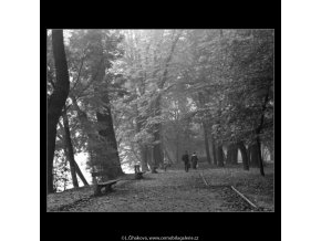 Rodina na cestě (1975-1), žánry - Praha 1962 , černobílý obraz, stará fotografie, prodej