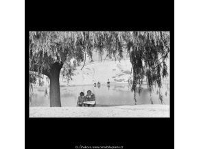 Na Olšanské třídě (1827), žánry - Praha 1962 , černobílý obraz, stará fotografie, prodej