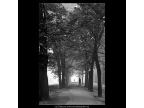 Metaři a stromořadí (1864), žánry - Praha 1962 říjen, černobílý obraz, stará fotografie, prodej