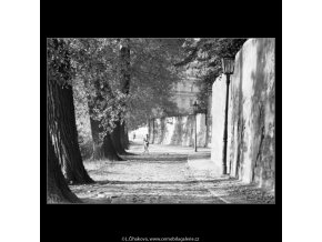 Na Kampě (1814), Praha 1962 září, černobílý obraz, stará fotografie, prodej