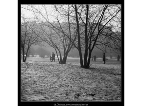 Stromy a lidé (2016-1), žánry - Praha 1963 leden, černobílý obraz, stará fotografie, prodej