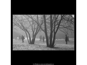 Stromy a lidé (2016-2), žánry - Praha 1963 leden, černobílý obraz, stará fotografie, prodej