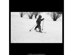 Malý lyžař (2035), žánry - Praha 1963 zima, černobílý obraz, stará fotografie, prodej