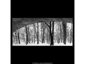 Stromy a oblouk mostu (2037), žánry - Praha 1963 zima, černobílý obraz, stará fotografie, prodej