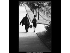 Dvojice na cestě v aleji (2217), žánry - Praha 1963 červen, černobílý obraz, stará fotografie, prodej