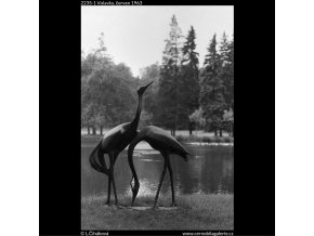 Volavky (2235-1), Praha 1963 červen, černobílý obraz, stará fotografie, prodej