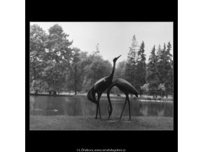 Volavky (2235-2), Praha 1963 červen, černobílý obraz, stará fotografie, prodej