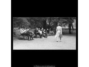 Čtenáři na lavičkách (2249), žánry - Praha 1963 červen, černobílý obraz, stará fotografie, prodej