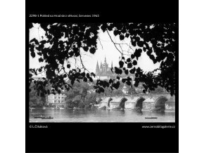 Pohled na Hrad skrz větvoví (2298-1), Praha 1963 červenec, černobílý obraz, stará fotografie, prodej