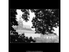 Pohled na Hrad skrz větvoví (2298-2), Praha 1963 červenec, černobílý obraz, stará fotografie, prodej