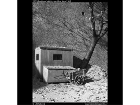 Podzimní zátiší v parčíku (2513), žánry - Praha 1963 říjen, černobílý obraz, stará fotografie, prodej