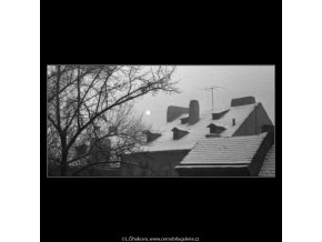 Kampa (2664-2), žánry - Praha 1964 leden, černobílý obraz, stará fotografie, prodej
