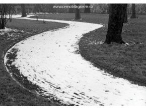 Cesta na Vyšehradě (2746), žánry - Praha 1964 březen, černobílý obraz, stará fotografie, prodej