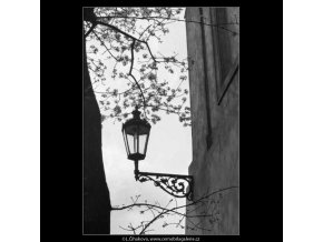 Lucerna a větve (2877-2), žánry - Praha 1964 květen, černobílý obraz, stará fotografie, prodej