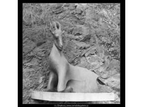 Plastika ze ZOO (2899), Praha 1964 květen, černobílý obraz, stará fotografie, prodej