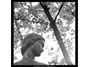 Dívka se džbánem (2951-2), Praha 1964 červen, černobílý obraz, stará fotografie, prodej