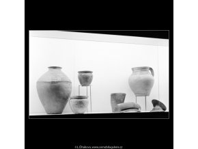 Přehlídka archeologického průzkumu (3020-1), Praha 1964 srpen, černobílý obraz, stará fotografie, prodej