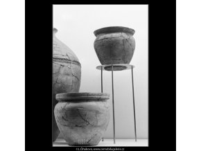 Přehlídka archeologického průzkumu (3020-4), Praha 1964 srpen, černobílý obraz, stará fotografie, prodej