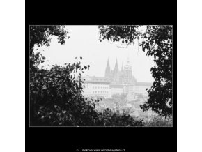 Pohled na Hrad (3116), Praha 1964 srpen, černobílý obraz, stará fotografie, prodej