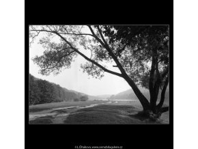 Vltava cestou z Roztok (3183), žánry - Praha 1964 září, černobílý obraz, stará fotografie, prodej