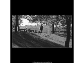 Na Vítkově (3194-2), žánry - Praha 1964 září, černobílý obraz, stará fotografie, prodej