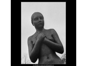 Dívka (3330-2), Praha 1964 listopad, černobílý obraz, stará fotografie, prodej