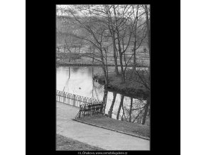 Jezírko ve Stromovce (3597), žánry - Praha 1965 březen, černobílý obraz, stará fotografie, prodej