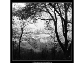 Pražský hrad skrz větve stromů (964-3), Praha 1960 listopad, černobílý obraz, stará fotografie, prodej
