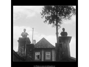 Zátiší u zámku Troja (3822), Praha 1965 červenec, černobílý obraz, stará fotografie, prodej