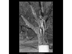 Čtrnáctiletá (4379-1), Praha 1966 březen, černobílý obraz, stará fotografie, prodej