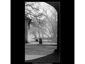 Pohled na Střelecký ostrov (4430), Praha 1966 duben, černobílý obraz, stará fotografie, prodej