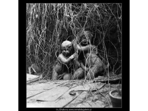 Socha ve dvoře (2162-4), Praha 1963 květen, černobílý obraz, stará fotografie, prodej