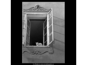 Kočka v okně (4968), žánry - Praha 1966 prosinec, černobílý obraz, stará fotografie, prodej