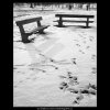 Dvě lavičky (1058-2), žánry - Praha 1961 únor, černobílý obraz, stará fotografie, prodej