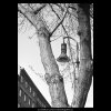 Lampa mezi větvemi (5267), Praha 1967 duben, černobílý obraz, stará fotografie, prodej